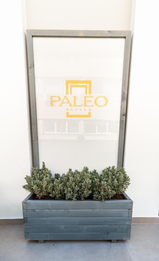 Appartamento Paleo